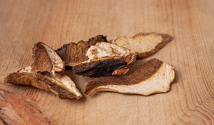 15 Health Benefits of Chaga Mushroom You Didn't Know About