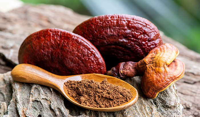 7 Ways Reishi Mushrooms Can Help the Body