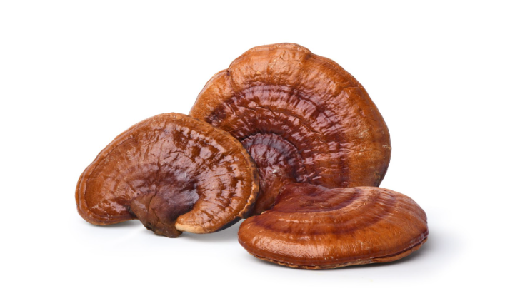 What's the Difference Between Red Reishi & Reishi Mushrooms