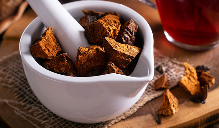 Chaga Mushrooms: 10 Benefits and Side Effects