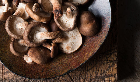 How Many Shiitake Mushrooms Should I Take Daily? What You Need to Know